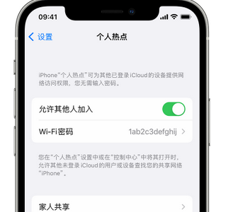 通城apple服务站点分享iPhone上个人热点丢失了怎么办 