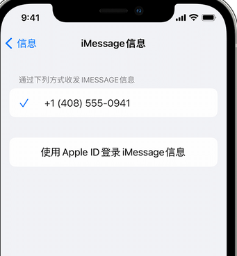 通城apple维修iPhone上无法正常发送iMessage信息 