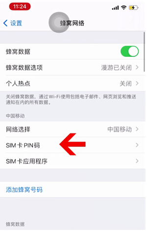 通城苹果14维修网分享如何给iPhone14的SIM卡设置密码 