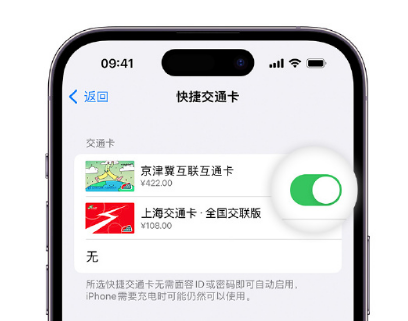 通城apple维修点分享iPhone上更换Apple Pay快捷交通卡手绘卡面 