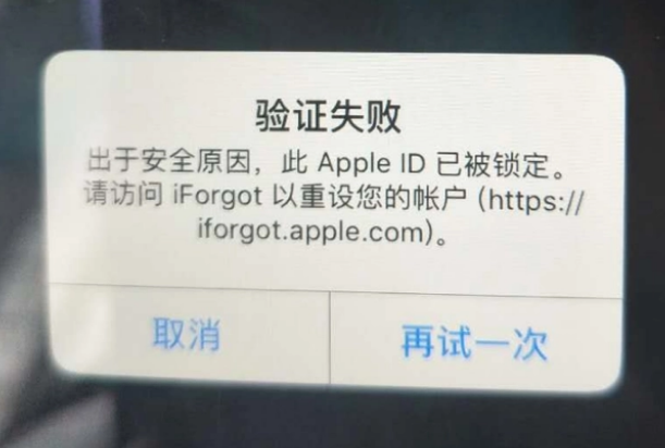 通城iPhone维修分享iPhone上正常登录或使用AppleID怎么办 