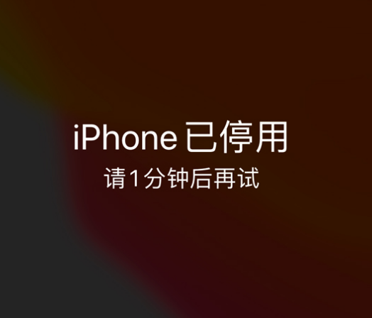 通城苹果手机维修分享:iPhone 显示“不可用”或“已停用”怎么办？还能保留数据吗？ 