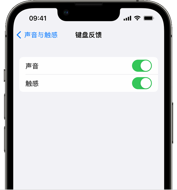 通城苹果14维修店分享如何在 iPhone 14 机型中使用触感键盘 