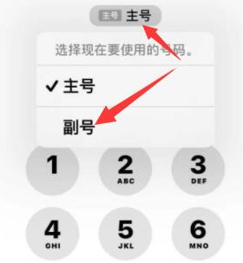 通城苹果14维修店分享iPhone 14 Pro Max使用副卡打电话的方法 