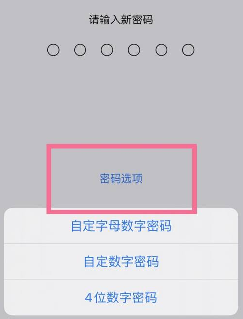 通城苹果14维修分享iPhone 14plus设置密码的方法 