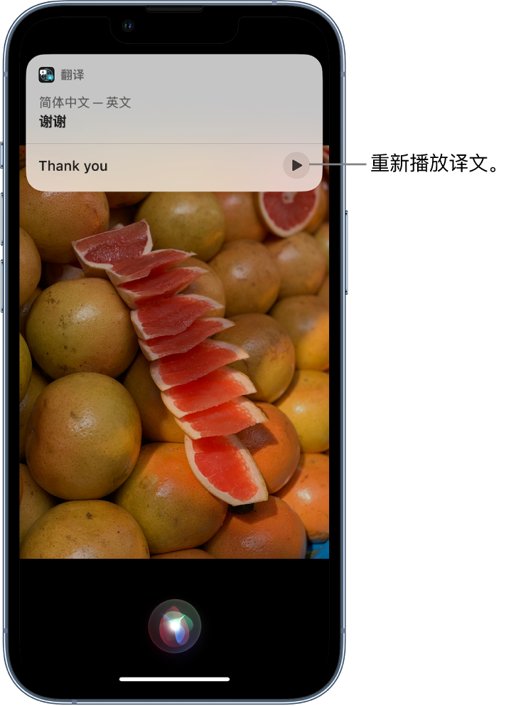 通城苹果14维修分享 iPhone 14 机型中使用 Siri：了解 Siri 能帮你做什么 