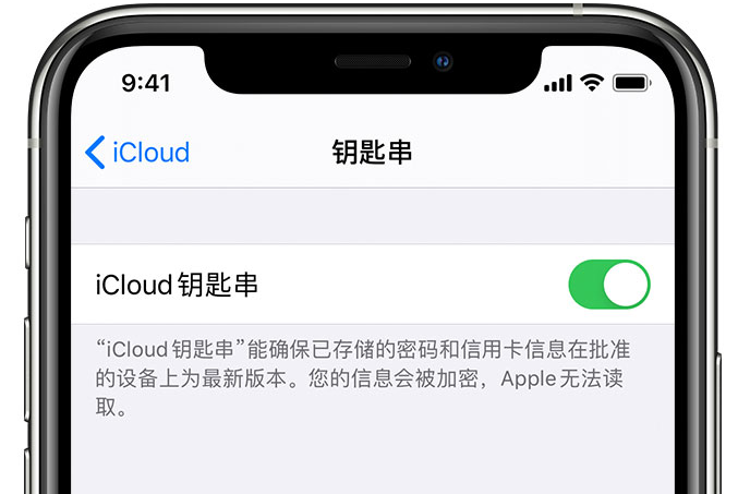 通城苹果手机维修分享在 iPhone 上开启 iCloud 钥匙串之后会储存哪些信息 