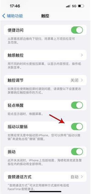 通城苹果手机维修分享iPhone手机如何设置摇一摇删除文字 